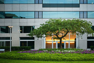 Commercial Landscaping Maintenance Programs