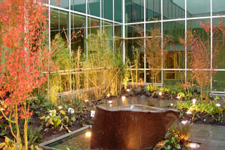 Commercial Landscaping Maintenance Programs