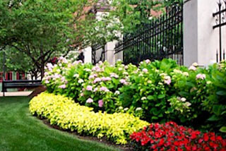 Commercial Landscaping Maintenance Programs