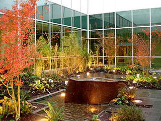 LED Landscape Lighting